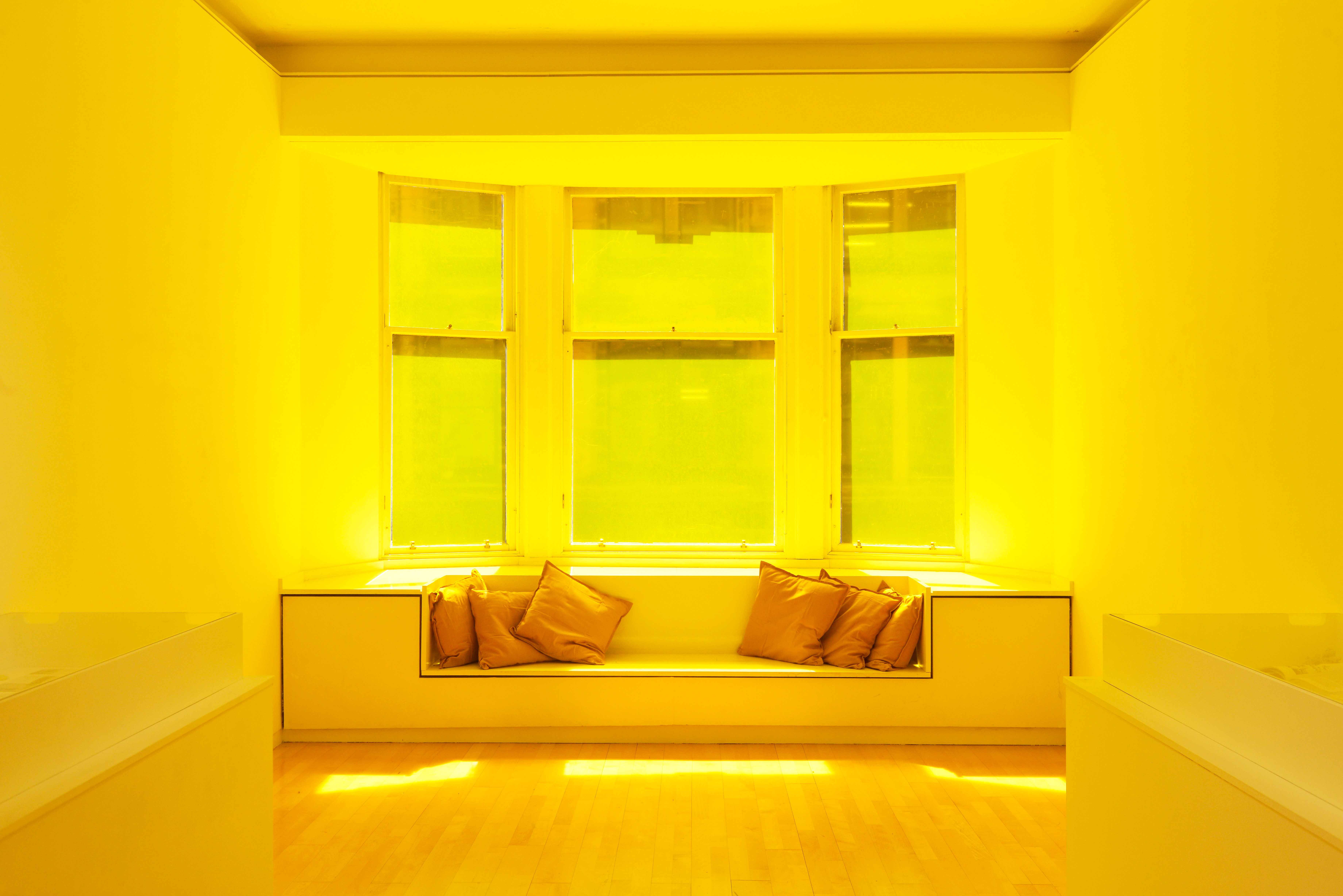 Bask in the Light of Freedom, 2024 Installation view (Photo by Alan Dimmick)