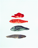 Four Fish